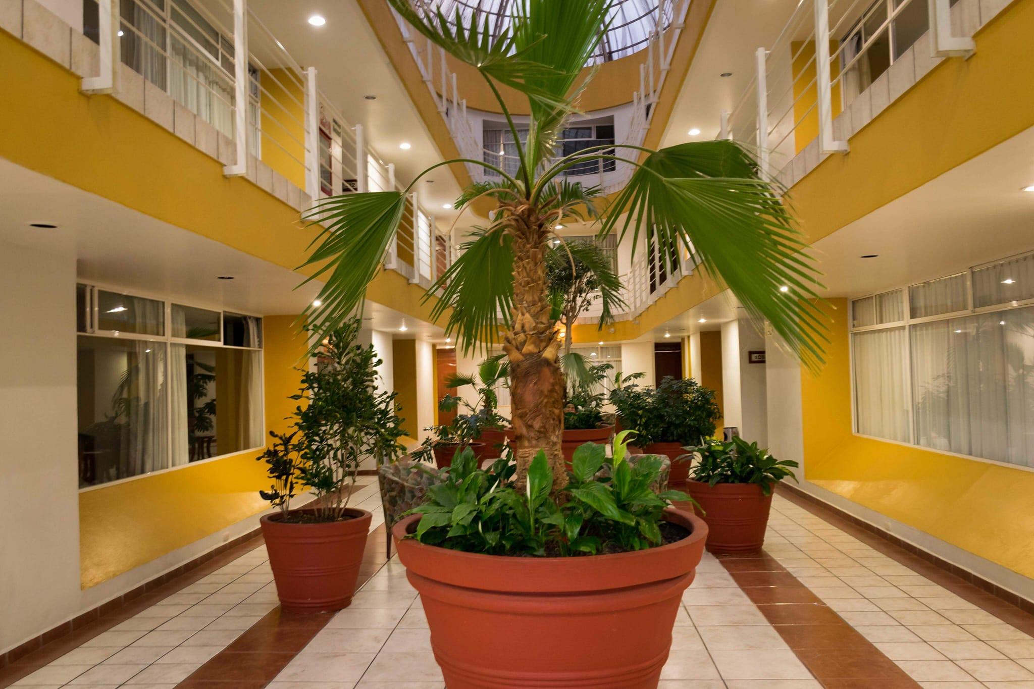 Hotel Mediterraneo Sa De Cv 툴란싱고 외부 사진