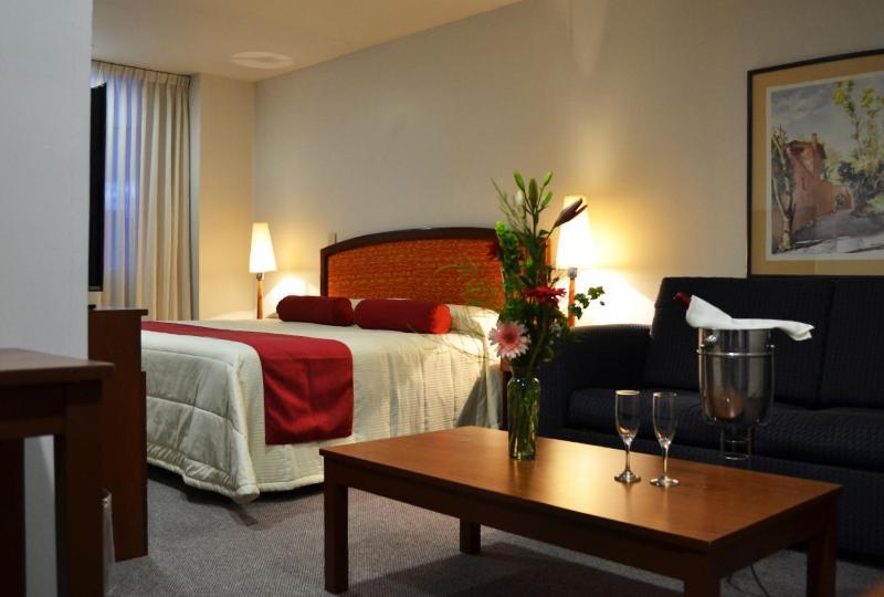 Hotel Mediterraneo Sa De Cv 툴란싱고 외부 사진